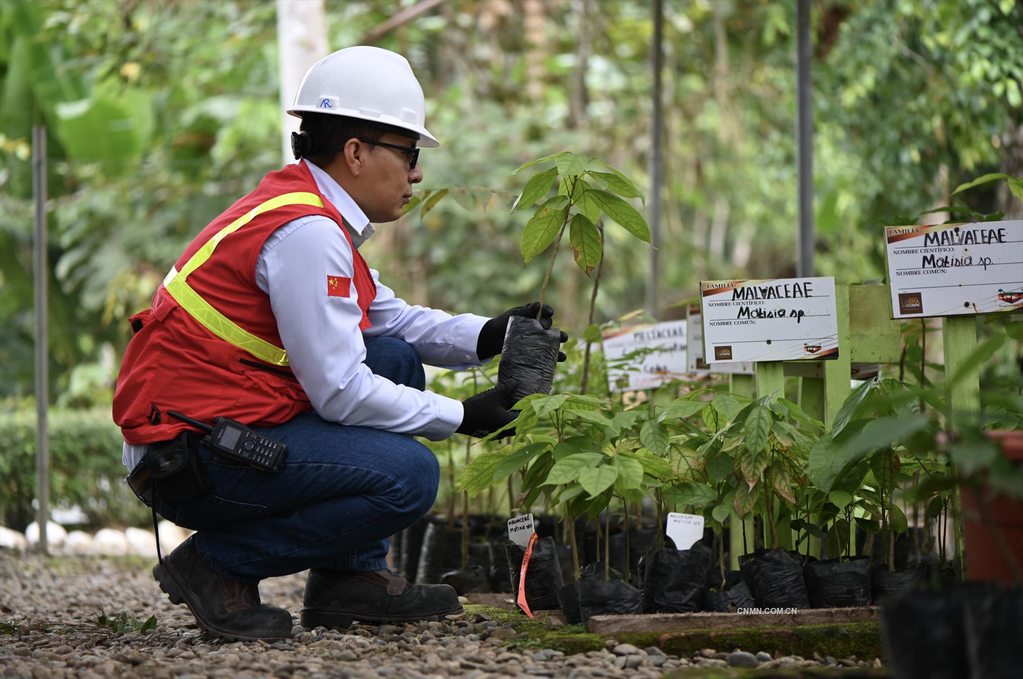 米拉多銅礦：踐行綠色發(fā)展理念 打造現(xiàn)代花園礦山